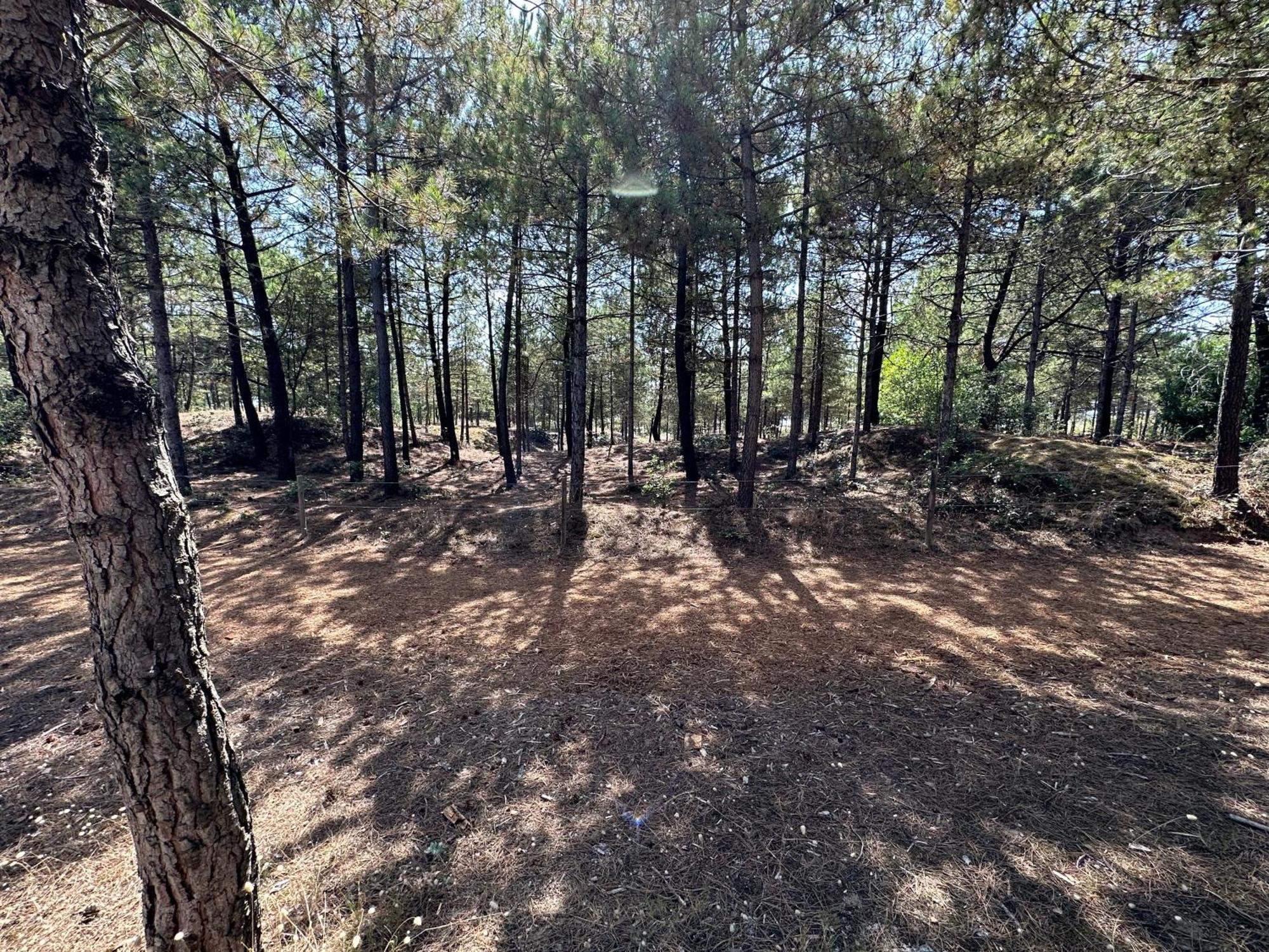 Appartement Au Bord De Mer Saint-Brévin-les-Pins Luaran gambar